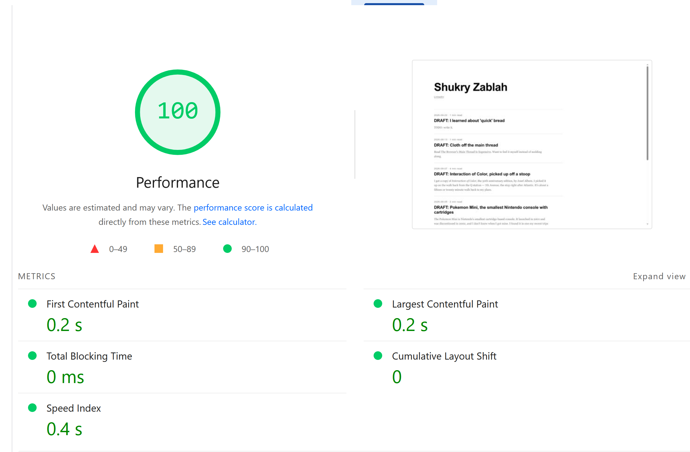 A pagespeed insight screenshot showing 100% performance